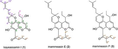 Geranylated Coumarins From Thai Medicinal Plant Mammea siamensis With Testosterone 5α-Reductase Inhibitory Activity